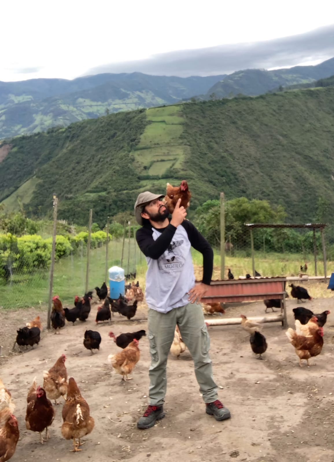 Granja orgánica El Motilón - Gallinas felices, huevos orgánicos Javo