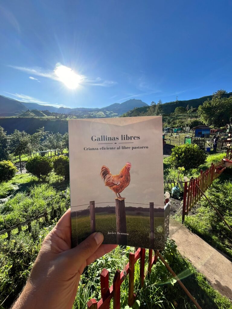 Libro Gallinas Libres - Crianza al libre pastoreo - Granja El Motilón - Javier Herrera
